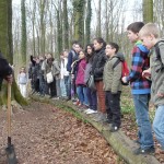 Waldschule Cappenberg